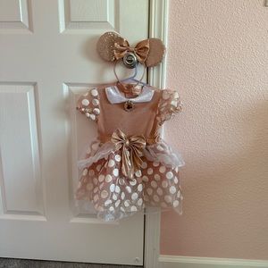 Mine Mouse Rose Gold Costume Toddler 2-3 w Ears